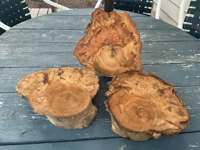 Burl  Slabs