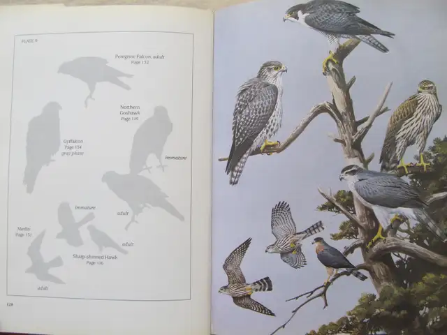 BIRDS OF NOVA SCOTIA by Robie W. Tufts - 1986 HC - Photo 8