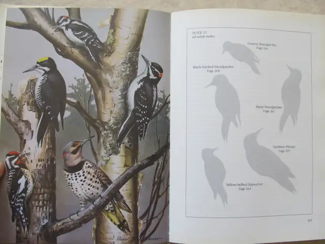 BIRDS OF NOVA SCOTIA by Robie W. Tufts - 1986 HC - Photo 9