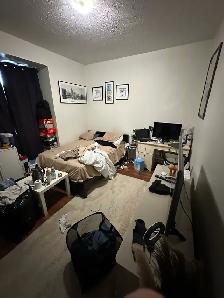 Painters needed in St-Catharine’s