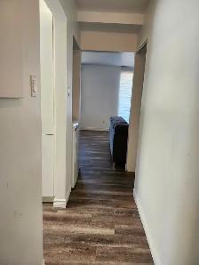 Large 4 1/2 QUIET NEIGHBORHOOD