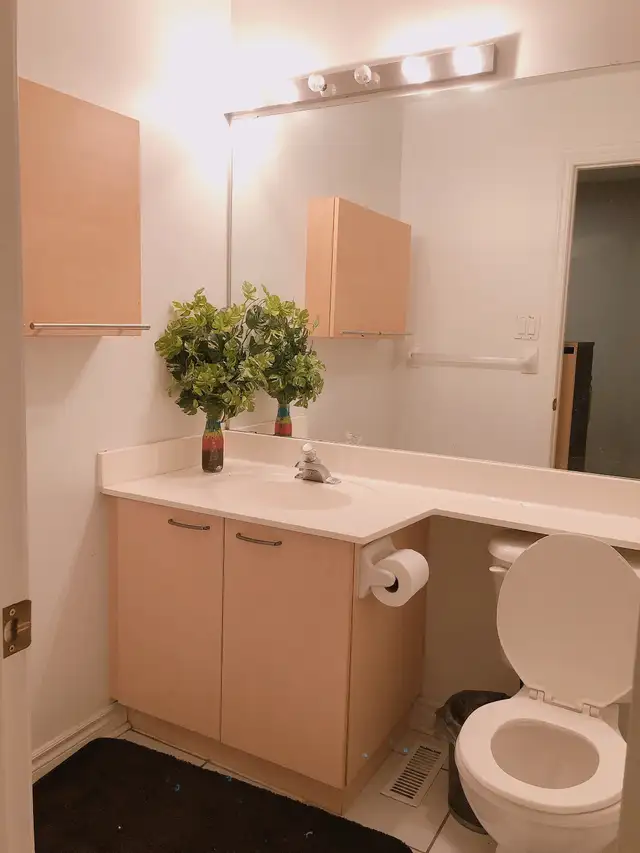 1st of May, Female house clean Master room for rent(North york) - Photo 5