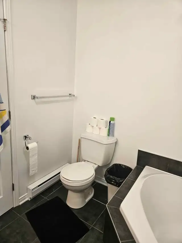 Haut du duplex sur 2 étages à louer : 3 chambres pour 1 er juill - Photo 8