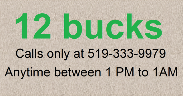 ARCHITECTURAL DETAIL in a NOVEL / FEATURE-RICH SHELF - 12 BUCKS! - Photo 9