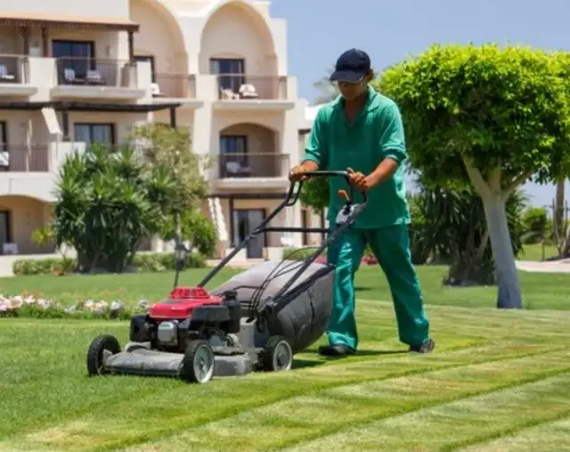 Full-time landscape labour- Cash