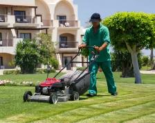 Full-time landscape labour- Cash