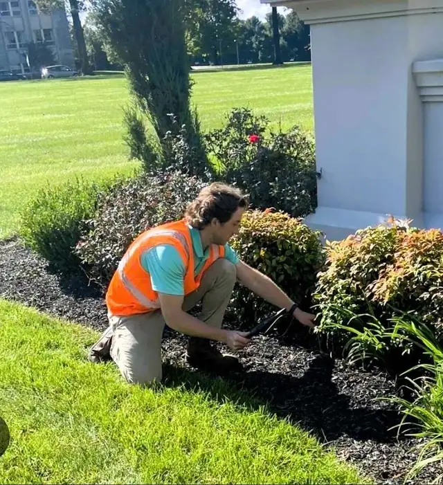 Full-time landscape labour- Cash - Photo 3