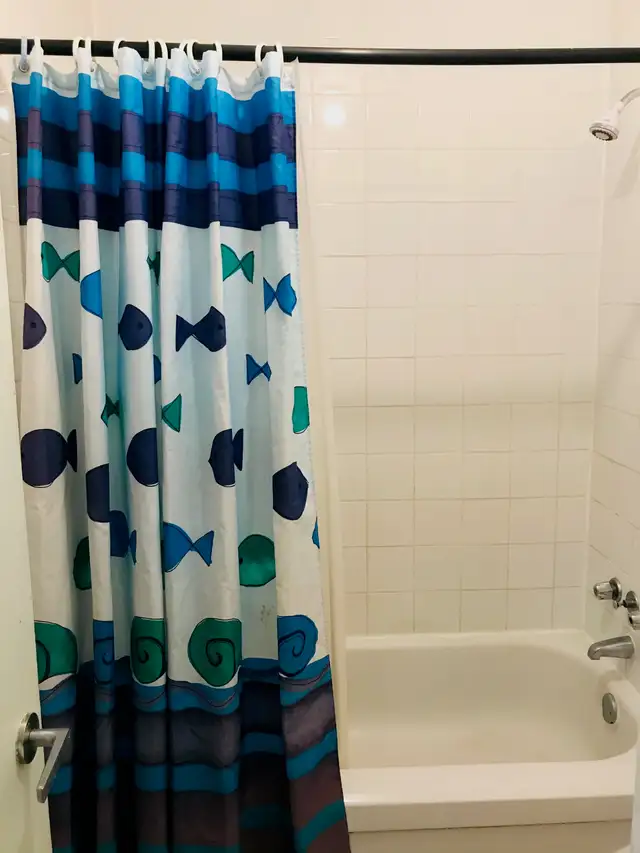 $700 / 180ft2 - A small studio near Metro stations Mont-Royal (M - Photo 5