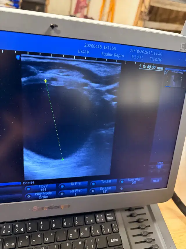 ISO Large Squares w alfalfs