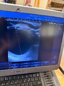 ISO Large Squares w alfalfs