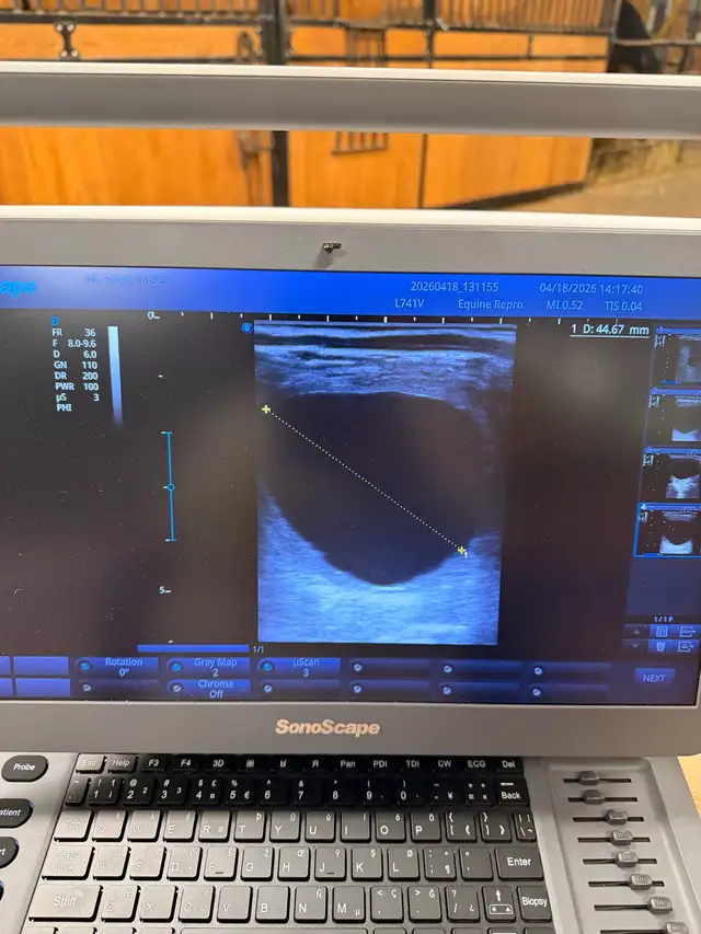 ISO Large Squares w alfalfs - Photo 3