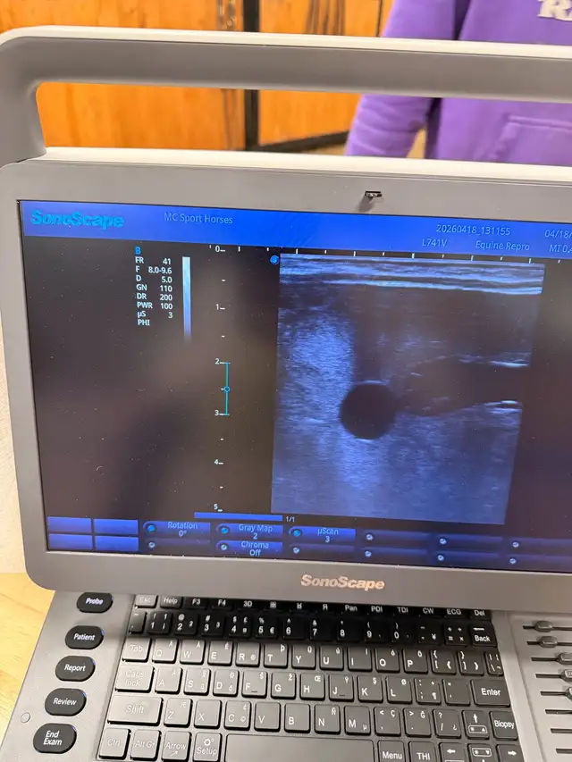 ISO Large Squares w alfalfs - Photo 4