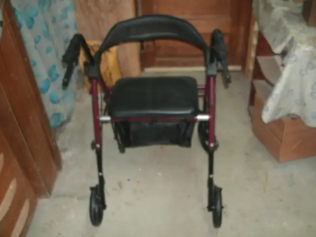 HOMLAND WALKER - Photo 3