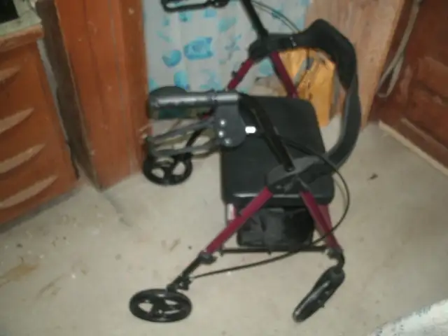 HOMLAND WALKER - Photo 4