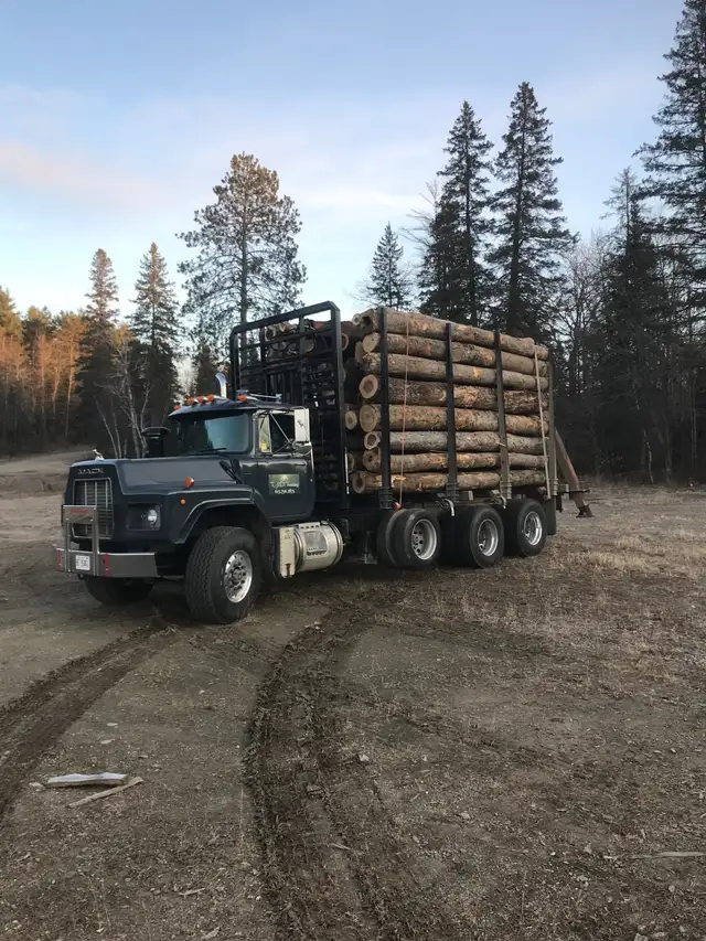 Firewood processing - Photo 2