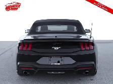 2024 Ford Mustang EcoBoost 2dr Convertible, Remote Start, BSM, C - Photo 5