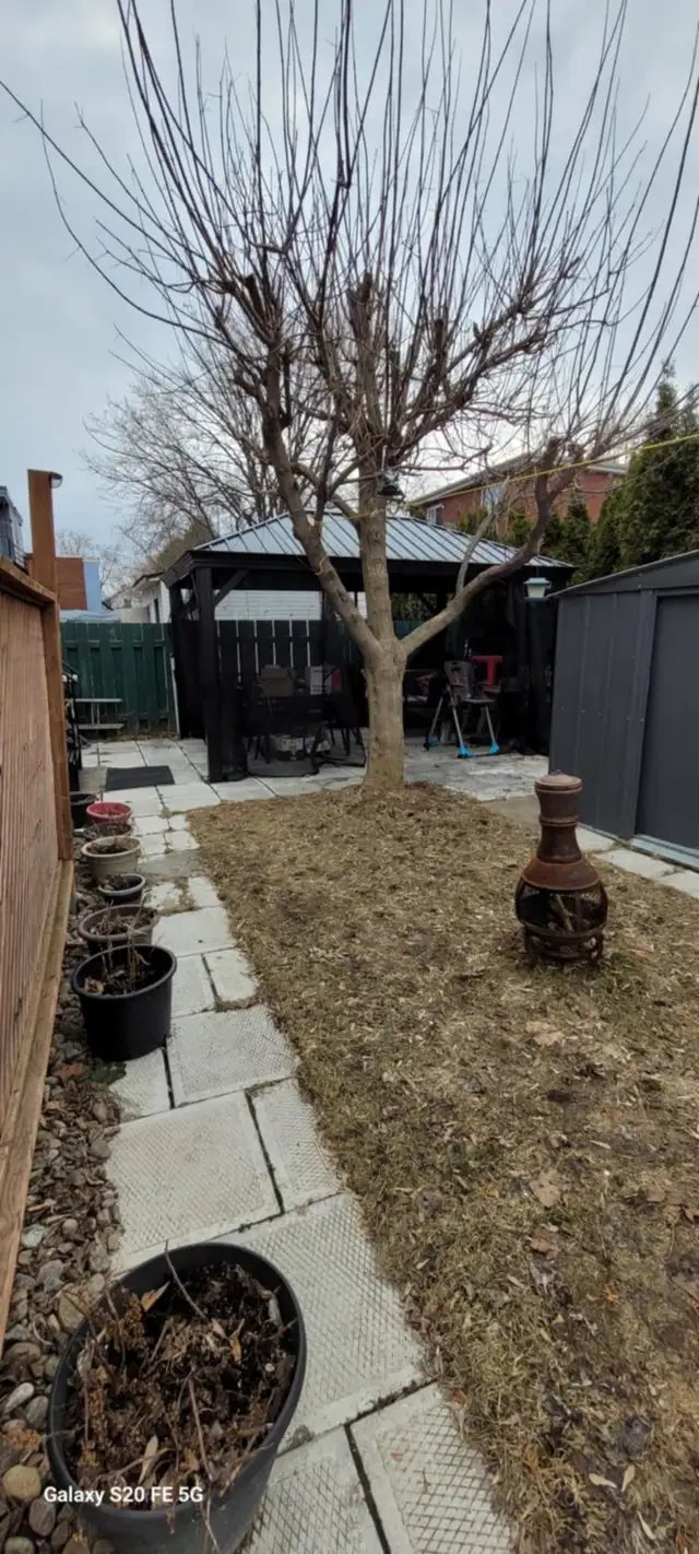 5½ à louer -  Rénové / 2 stationnements / Cour, etc. - Photo 14