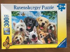 Casse-têtes / Puzzles (7 CT) – 300 à 350 pièces (noIII)