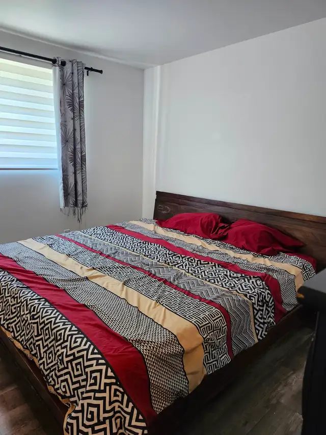 Grand 4 1/2 beau West Island