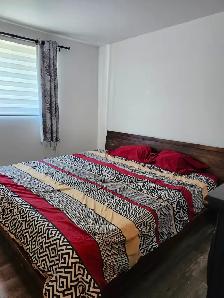 Grand 4 1/2 beau West Island