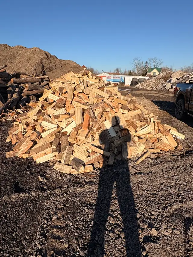 FIREWOOD FOR SALE! - Photo 3