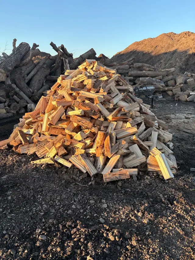 FIREWOOD FOR SALE!
