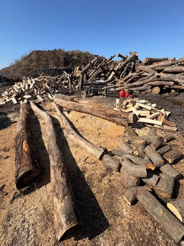 FIREWOOD FOR SALE! - Photo 3