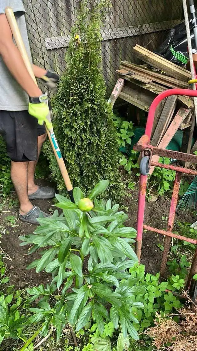 General Labour is available - Photo 2