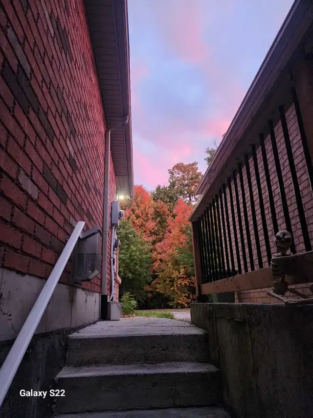 Garden and Yard clean up!