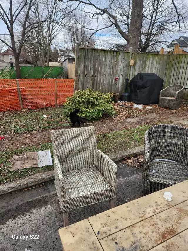 Garden and Yard clean up! - Photo 3