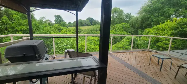 Great Room Available (Best community in London) - Photo 8