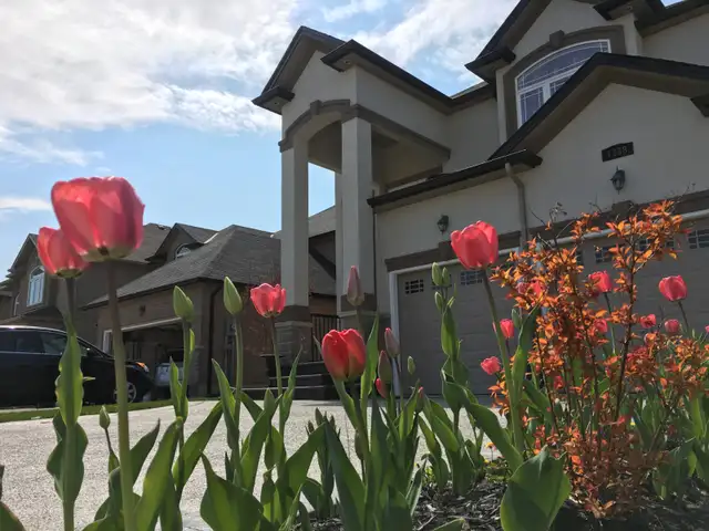 New House Room for Rent on West Mountain