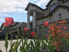 New House Room for Rent on West Mountain