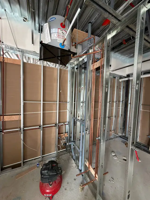 professional plumbing