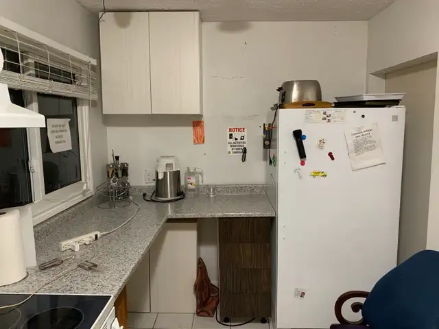 HALF OFF 1ST MONTH Room for ONE Person Available June 1 - Photo 3