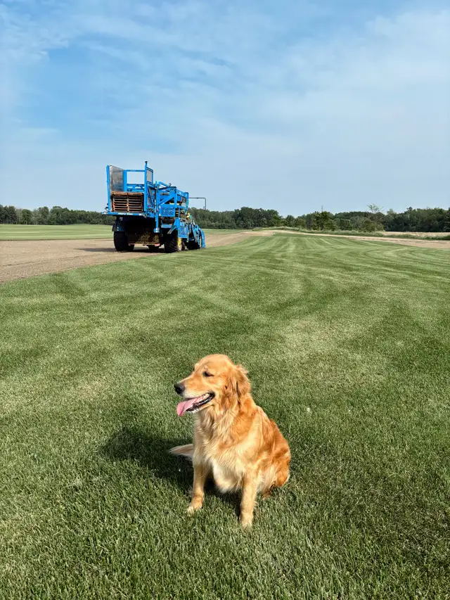 HARVESTING SOD FOR 2026 - Photo 5