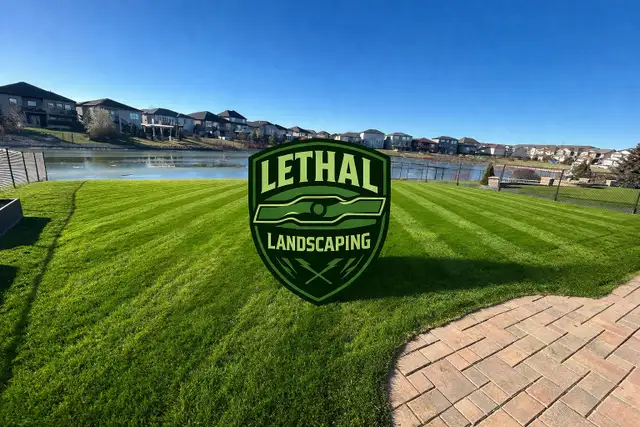 lawn care/landscaping