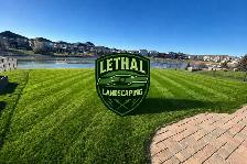 lawn care/landscaping