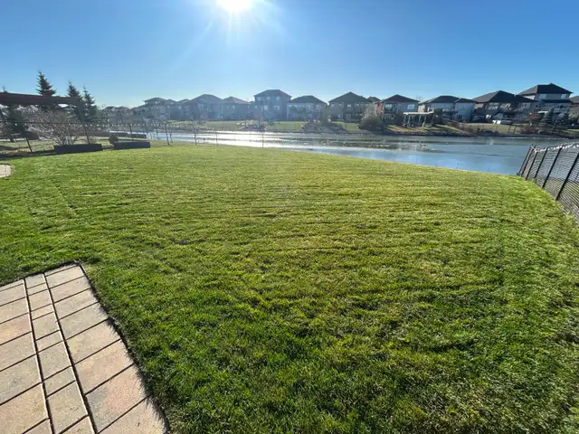 lawn care/landscaping - Photo 2