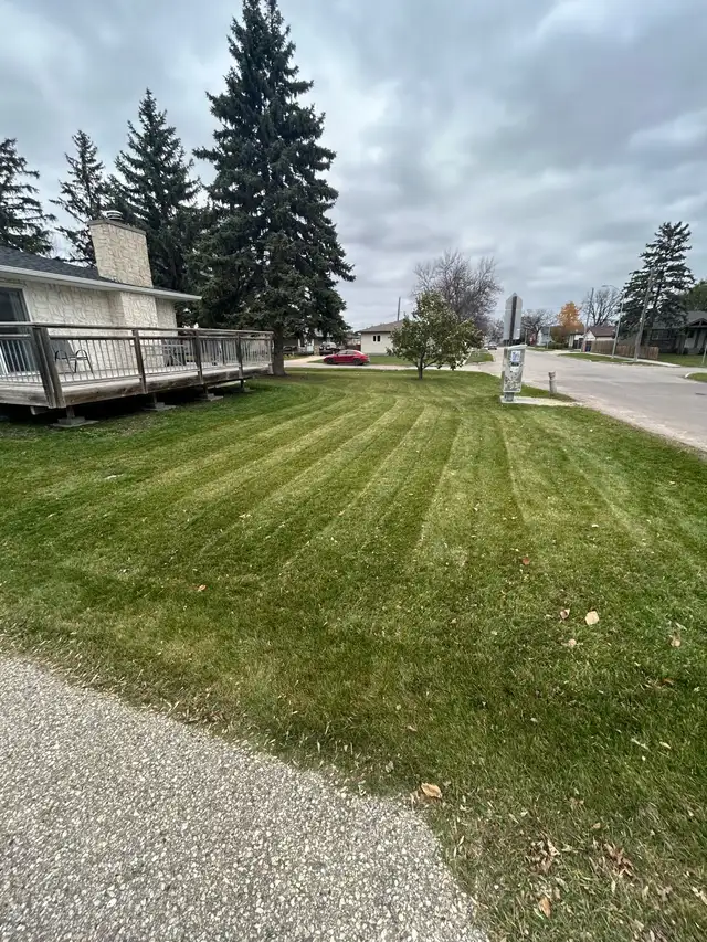 lawn care/landscaping - Photo 5