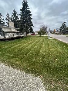 lawn care/landscaping - Photo 5