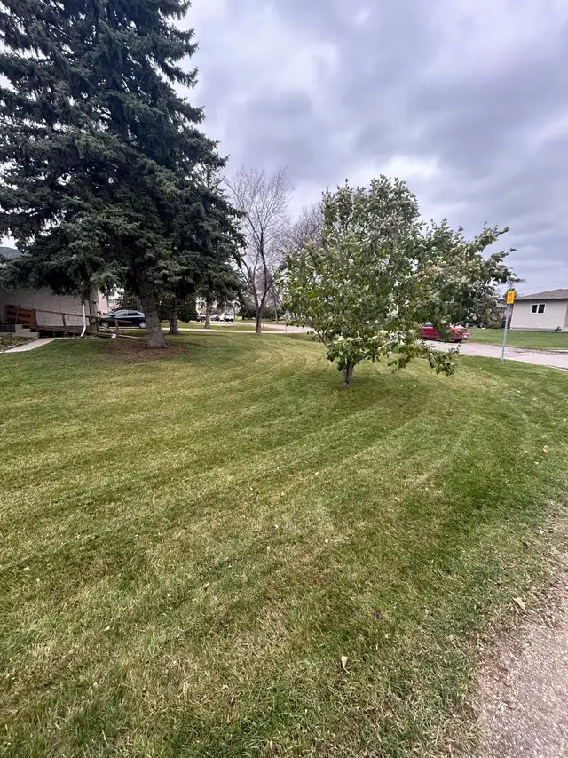 lawn care/landscaping - Photo 6