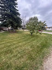 lawn care/landscaping - Photo 6