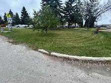 lawn care/landscaping - Photo 7
