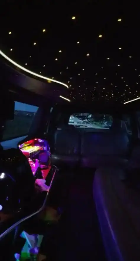 12-15 Passenger Limo-$525 for 3hrs-Big Dream Limousine - Photo 8