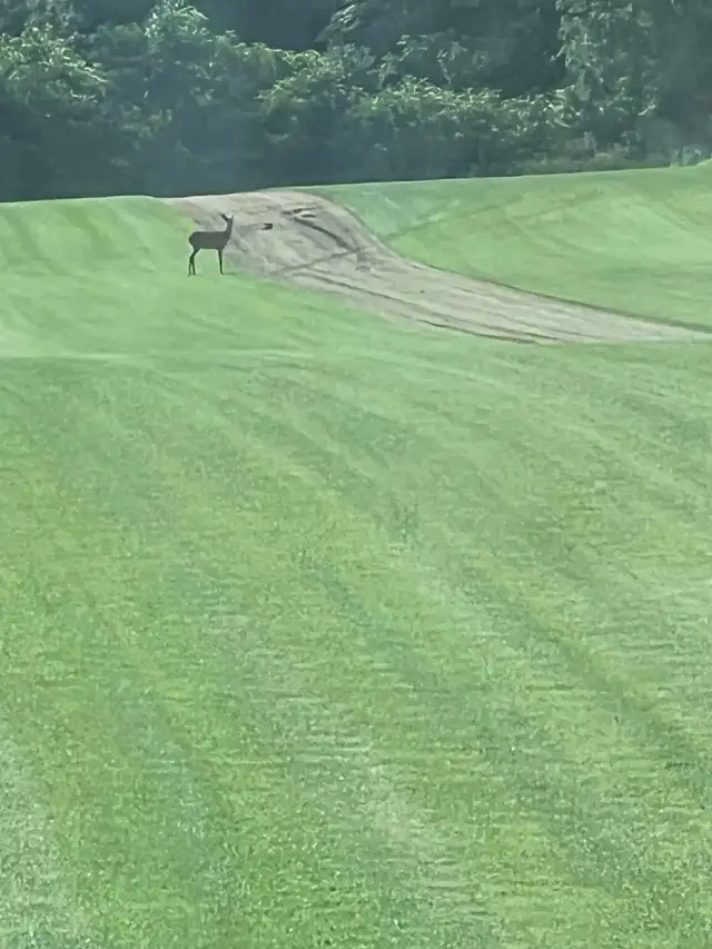 SOD SEASON OF 2026 IS OPEN - Photo 3