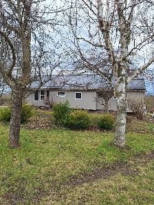 3 bedroom   1.5 bath home forsale