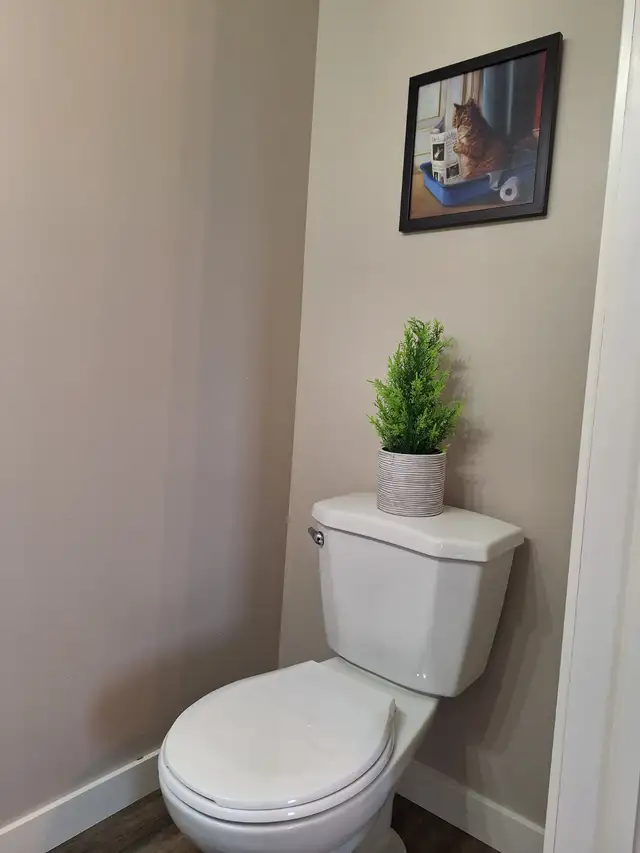 3 bedroom   1.5 bath home forsale - Photo 9