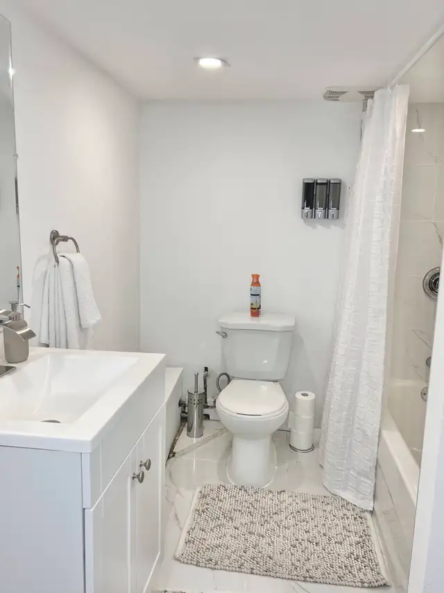 Oshawa Walkout Basement for rent - Photo 3