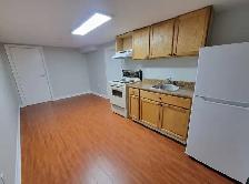 CLEAN   BRIGHT 1 BEDROOM APT FOR 1, SEP ENTRANCE NEAR TRANSIT